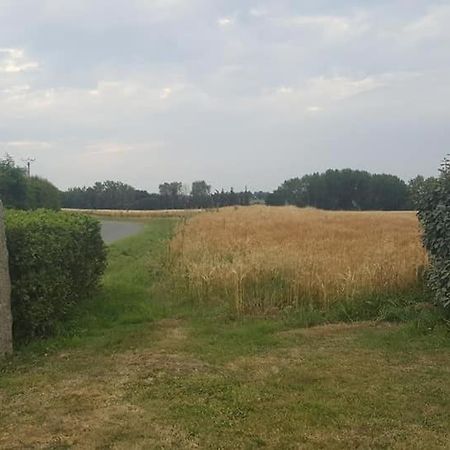 Gite 3 Places Au Coeur Du Tregor Langoat ภายนอก รูปภาพ